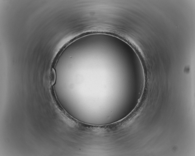 X0000091661085200709061015