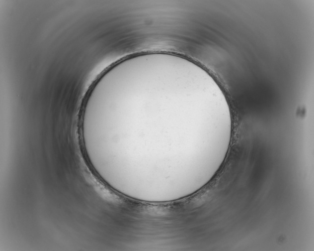 X0000091661086200709061015