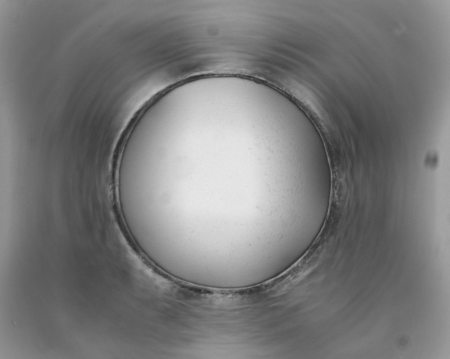 X0000091661087200709061015