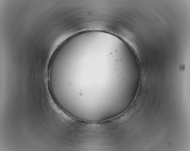 X0000091661088200709061015