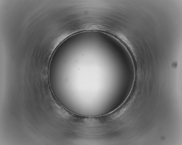 X0000091661089200709061015