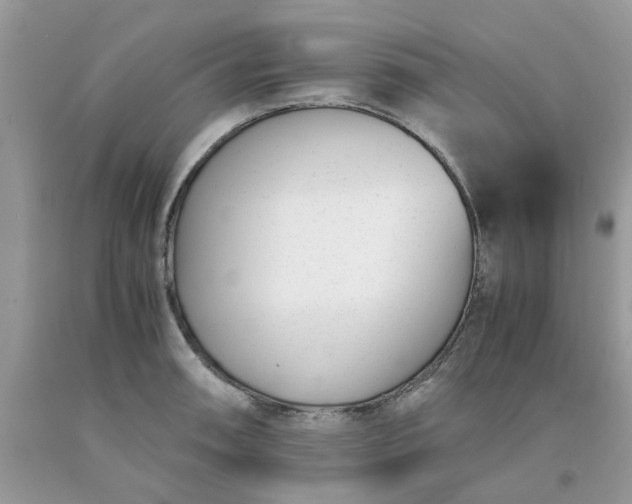 X0000091661090200709061015