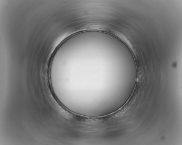 X0000091661091200709061015