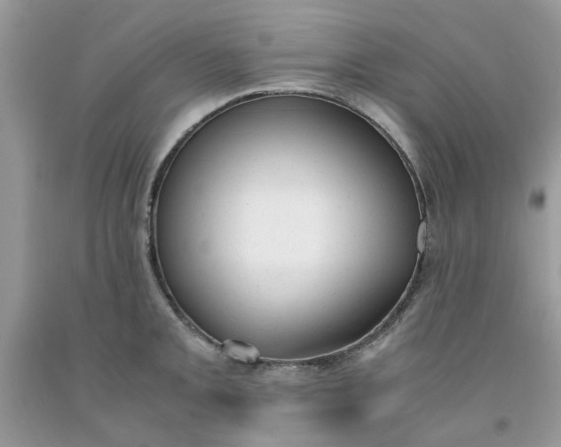 X0000091661093200709061015