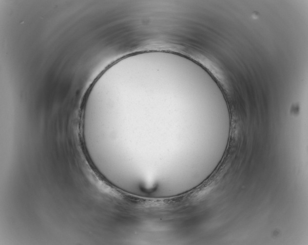 X0000091661094200709061015