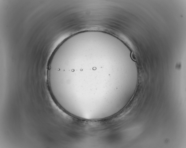 X0000091661095200709061015