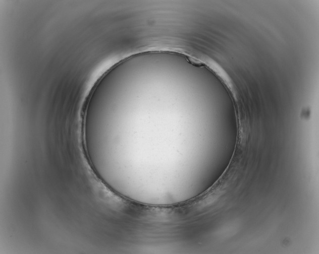 X0000091661096200709061015