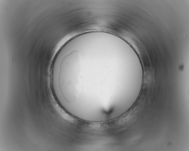 X0000091661098200709061015