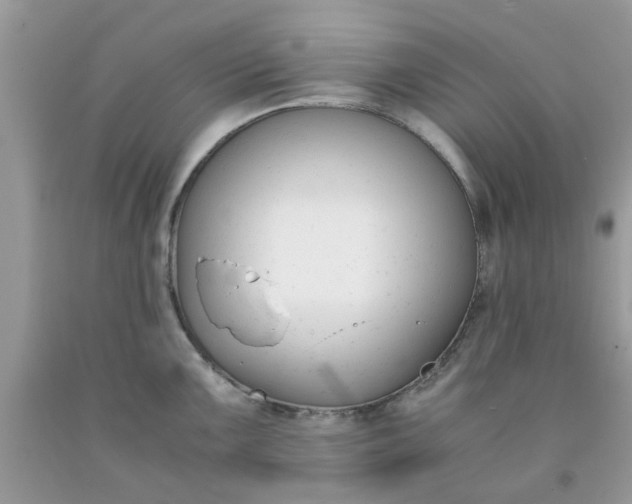 X0000091661099200709061015