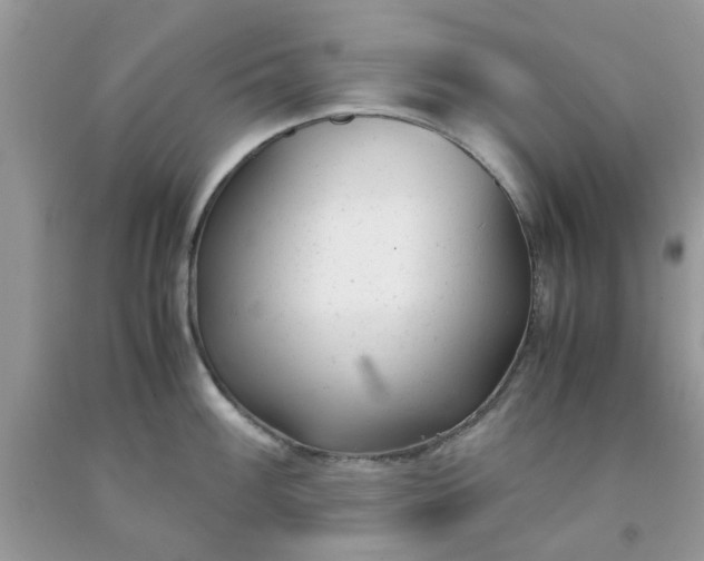 X0000091661100200709061015