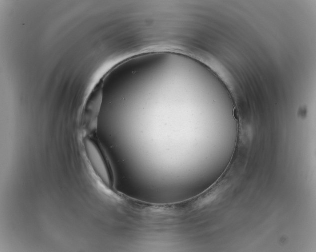 X0000091661102200709061015