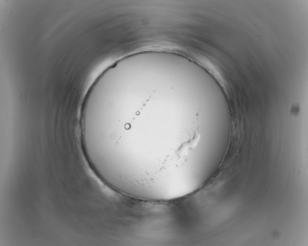 X0000091661103200709061015