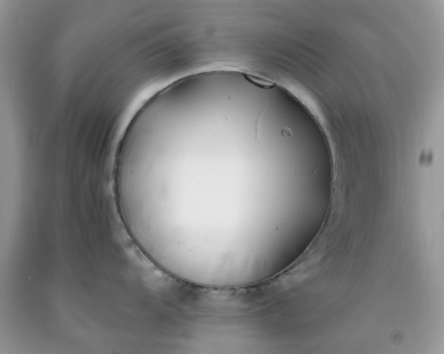 X0000091661104200709061015