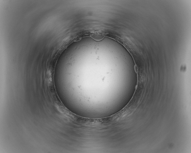 X0000091661106200709061014