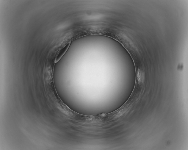 X0000091661107200709061014