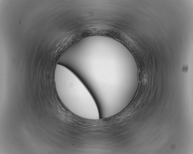 X0000091661108200709061014