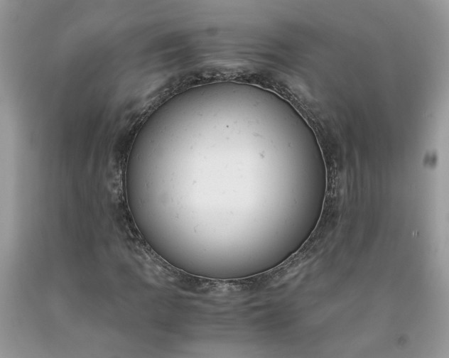 X0000091661109200709061014