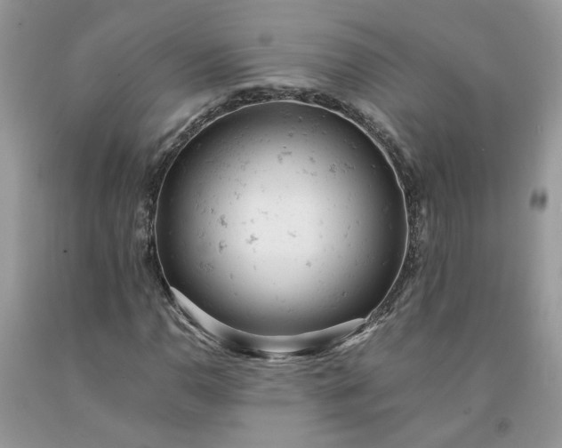 X0000091661110200709061014