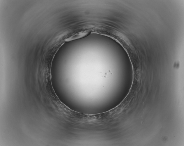 X0000091661111200709061014