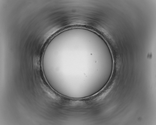 X0000091661113200709061014