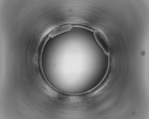 X0000091661114200709061014