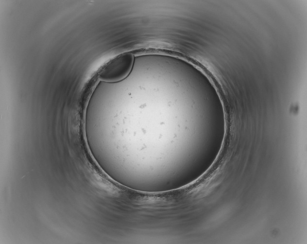 X0000091661115200709061014