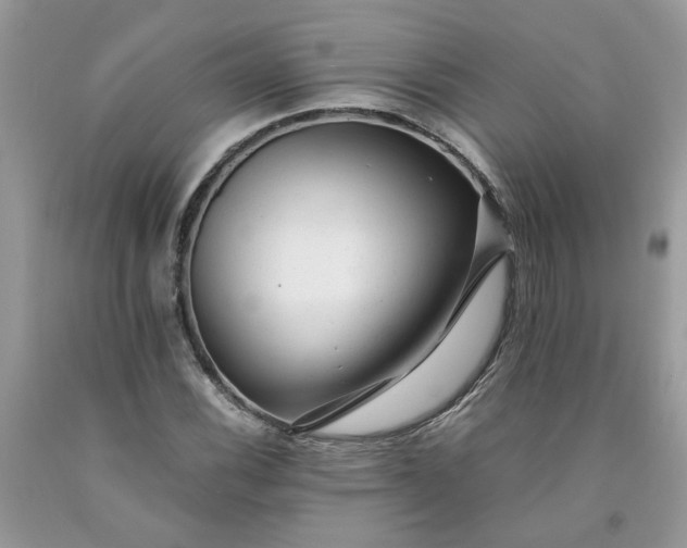 X0000091661116200709061014