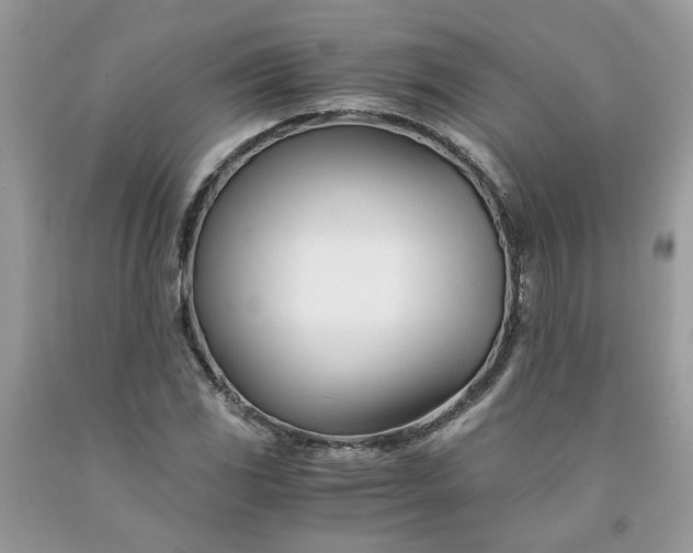 X0000091661117200709061014