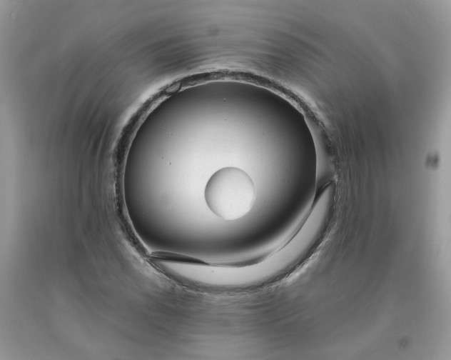 X0000091661118200709061014