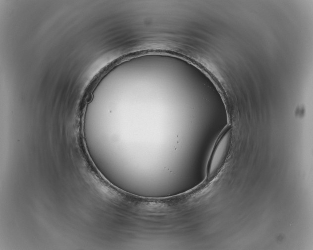 X0000091661119200709061014