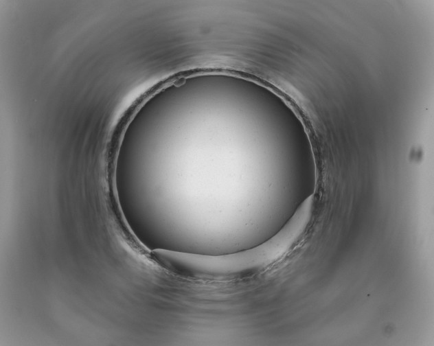 X0000091661120200709061014