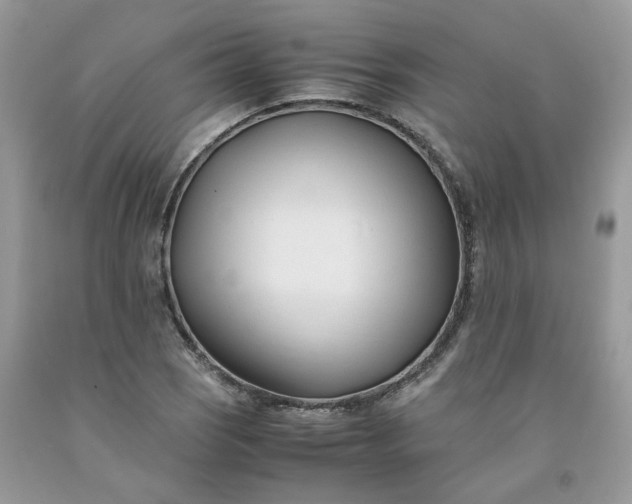 X0000091661121200709061014