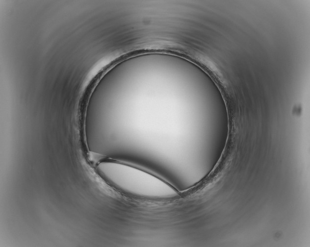 X0000091661122200709061014