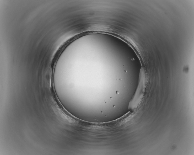 X0000091661123200709061014