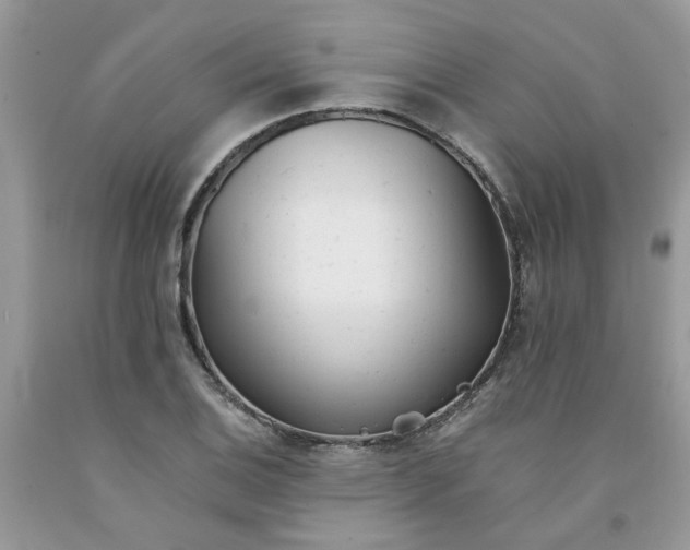 X0000091661124200709061014