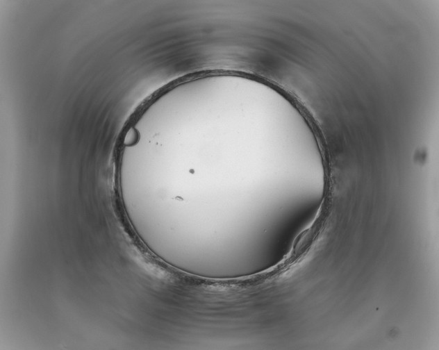 X0000091661125200709061014