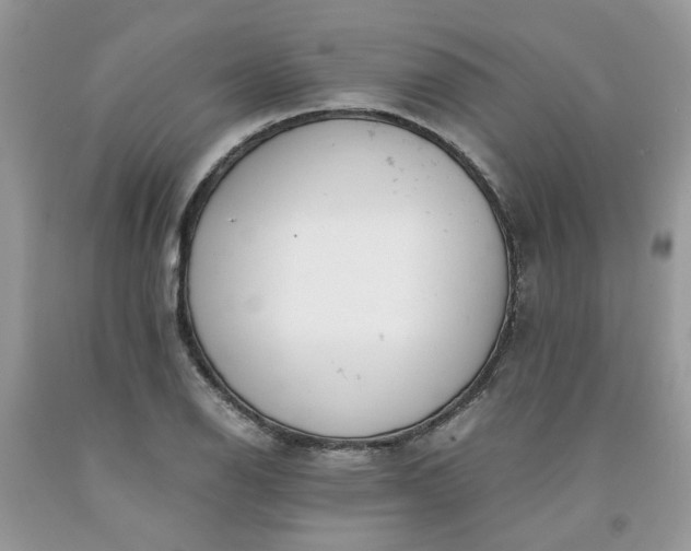 X0000091661126200709061014