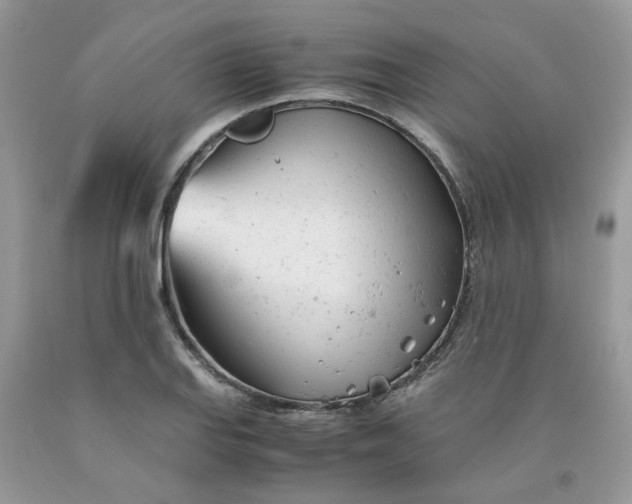 X0000091661127200709061014