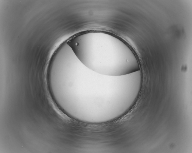 X0000091661128200709061015