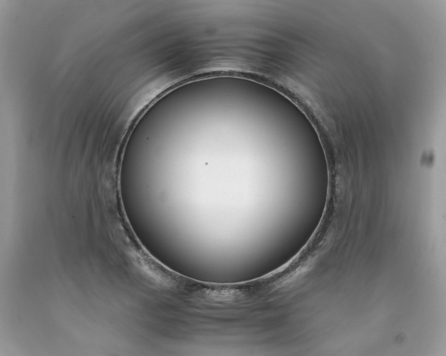 X0000091661129200709061015