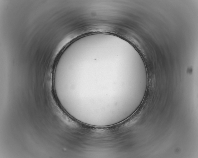 X0000091661130200709061015