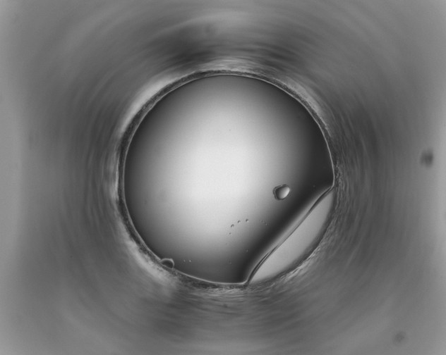 X0000091661131200709061015