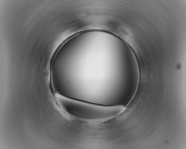 X0000091661132200709061015