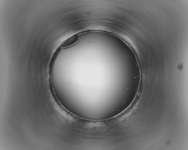 X0000091661133200709061015