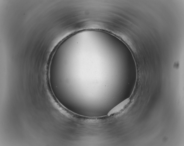 X0000091661134200709061015