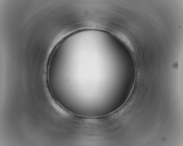 X0000091661136200709061015