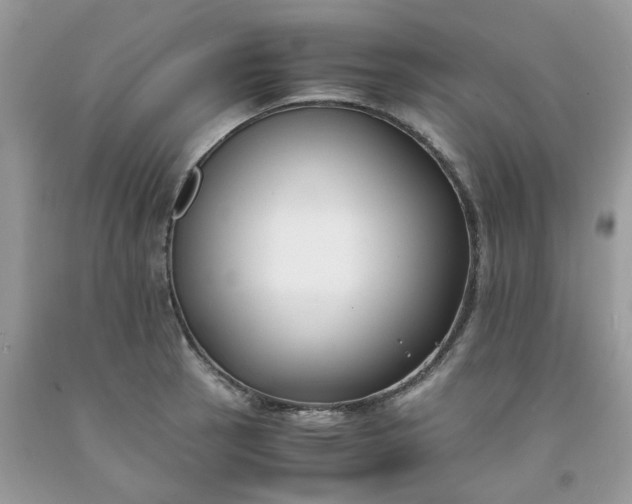 X0000091661137200709061015