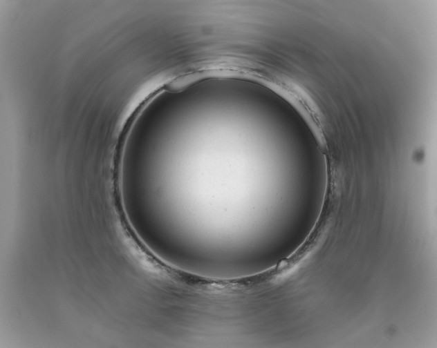 X0000091661138200709061015