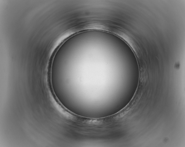 X0000091661139200709061015