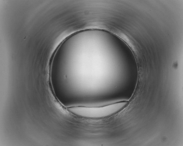 X0000091661140200709061015